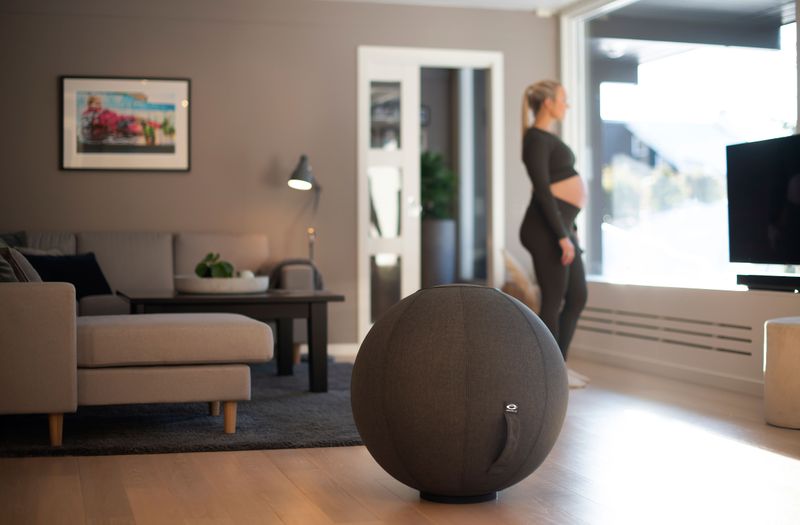 Abilica - Fitnessball Cover 65cm