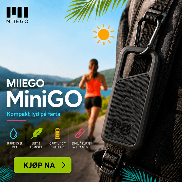 Miiego MiniGO